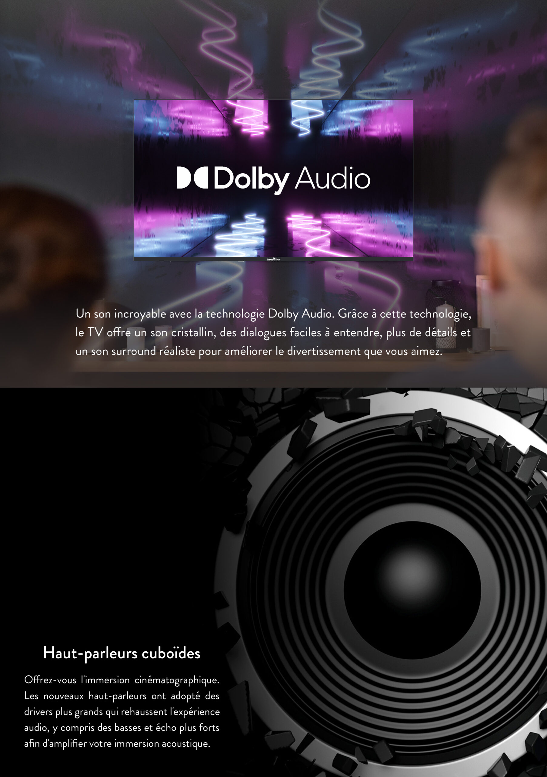 40FV10V1 Data sheet_4