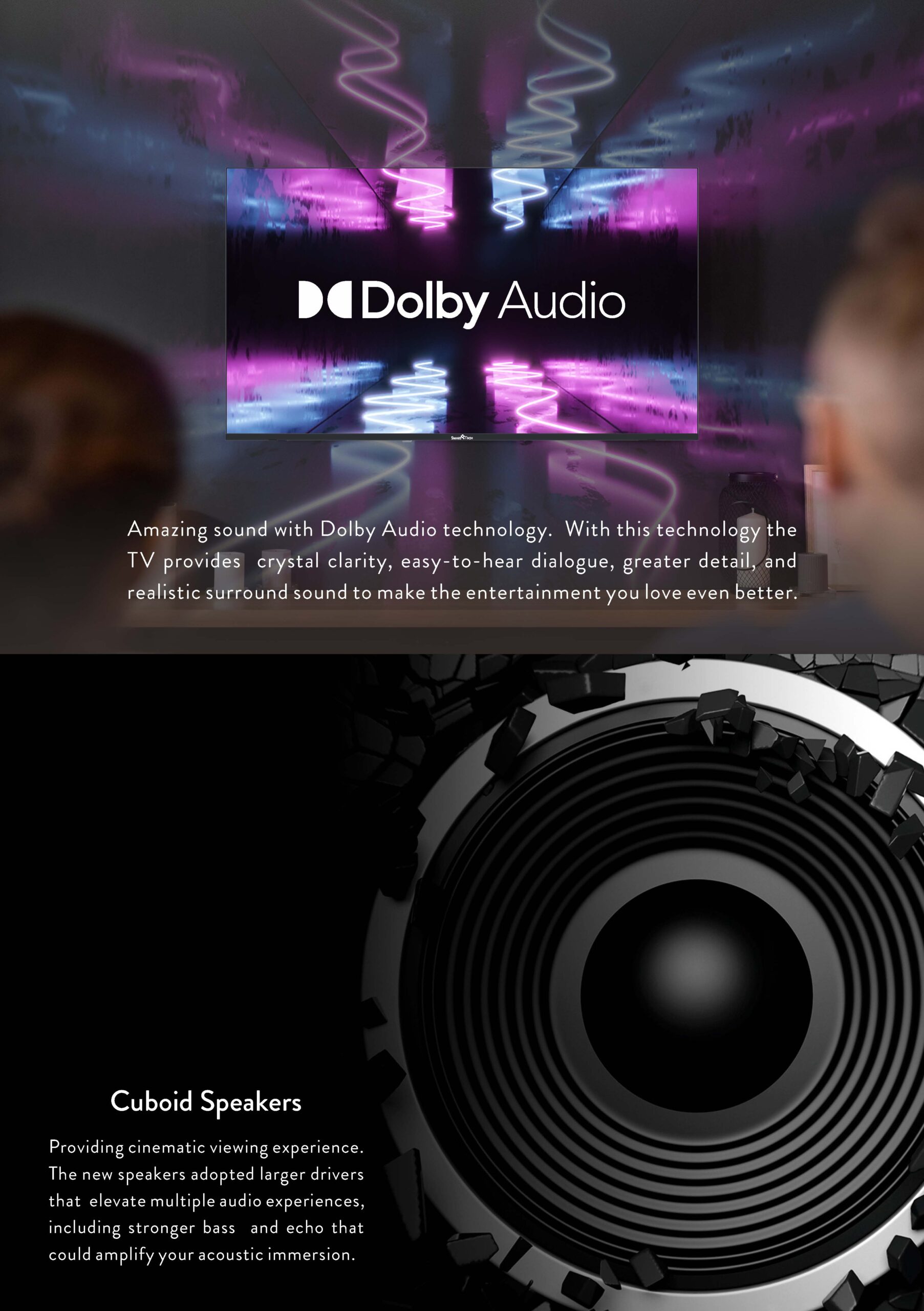 65UV10V1 Data sheet_页面_4